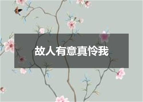 故人有意真怜我