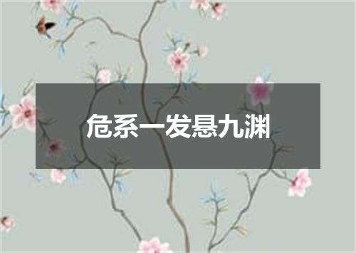 危系一发悬九渊
