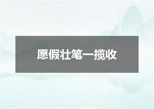 愿假壮笔一揽收