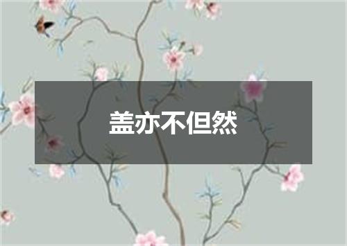 盖亦不但然