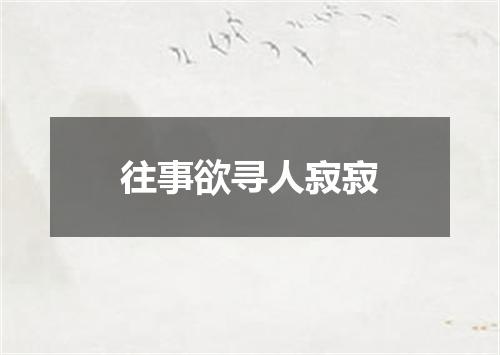 往事欲寻人寂寂