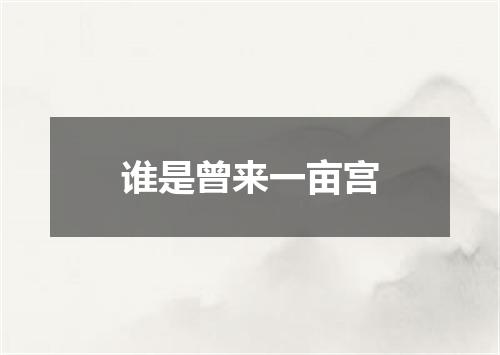 谁是曾来一亩宫