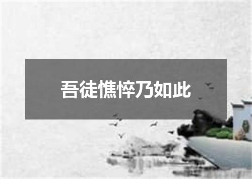 吾徒憔悴乃如此