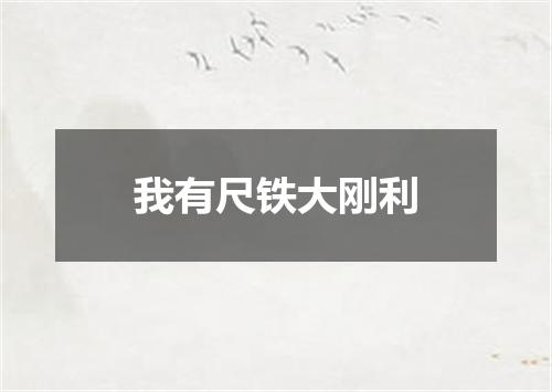 我有尺铁大刚利