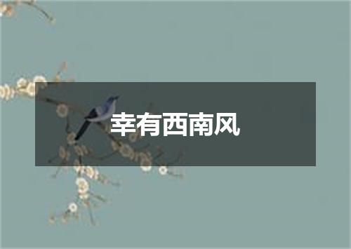 幸有西南风