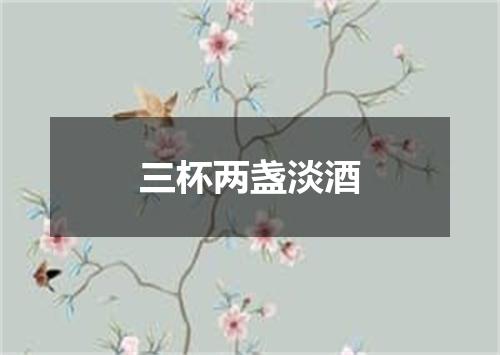 三杯两盏淡酒