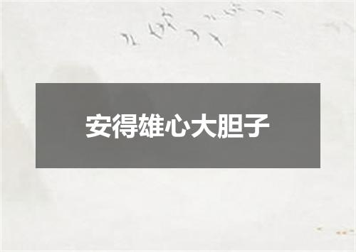 安得雄心大胆子