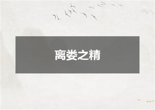离娄之精