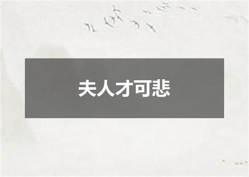 夫人才可悲