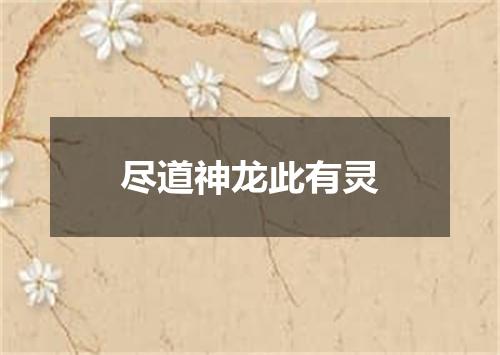 尽道神龙此有灵