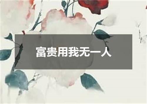 富贵用我无一人