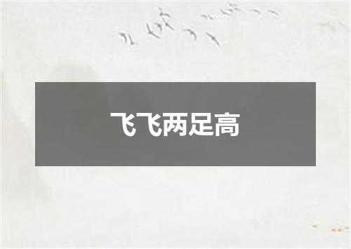 飞飞两足高