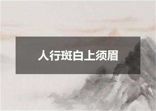 人行斑白上须眉