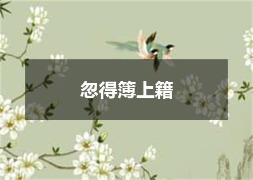 忽得簿上籍