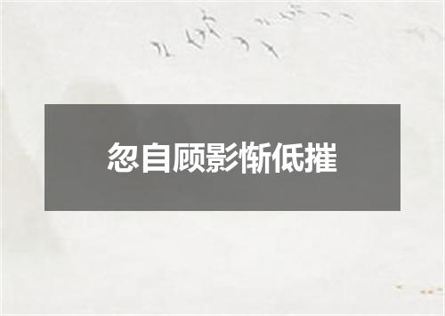 忽自顾影惭低摧