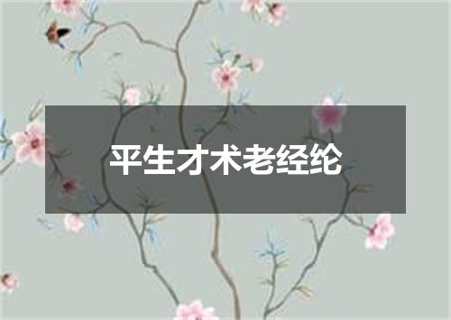 平生才术老经纶