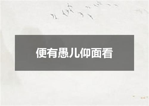 便有愚儿仰面看