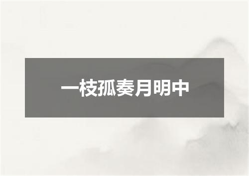 一枝孤奏月明中