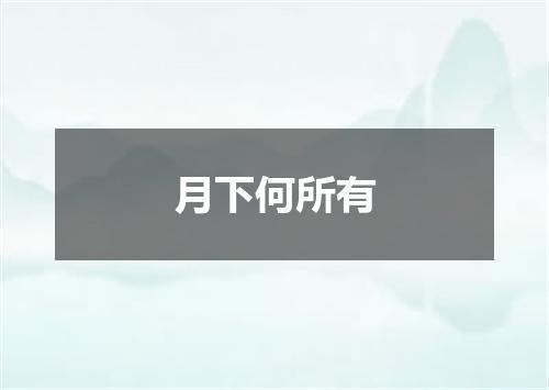月下何所有