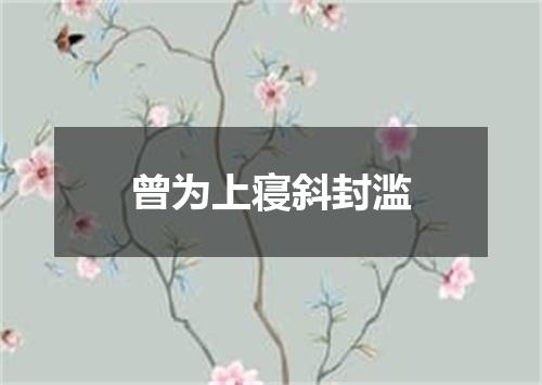 曾为上寝斜封滥
