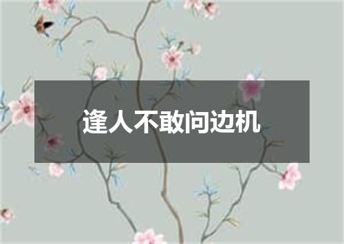 逢人不敢问边机