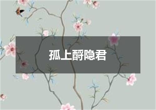 孤上酹隐君