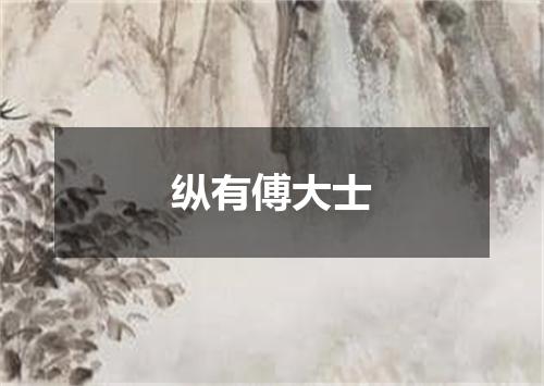 纵有傅大士