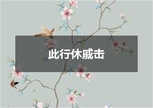 此行休戚击