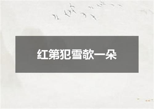 红第犯雪欹一朵