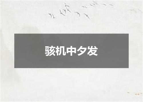 骇机中夕发