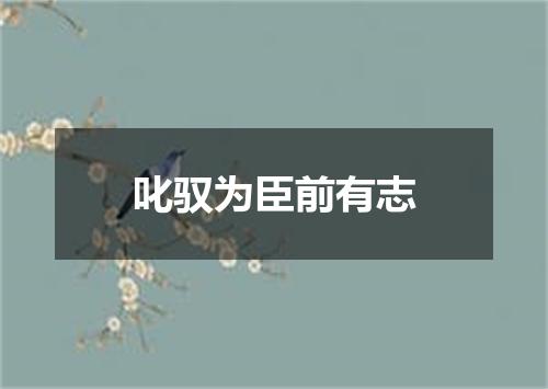 叱驭为臣前有志