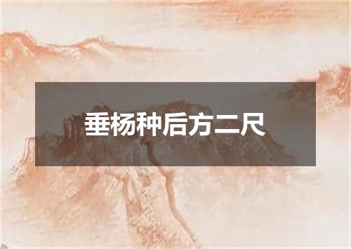 垂杨种后方二尺