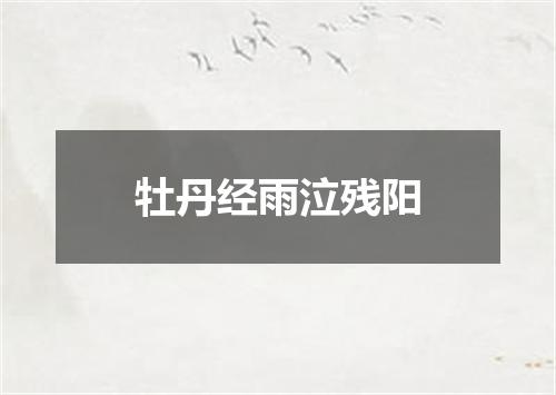 牡丹经雨泣残阳