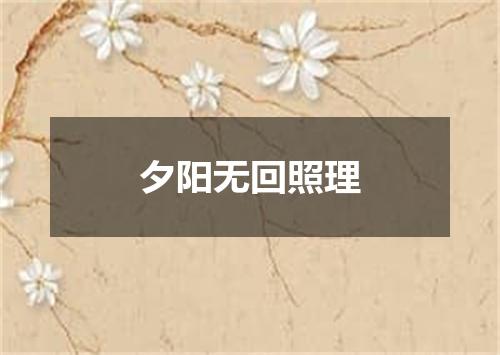 夕阳无回照理