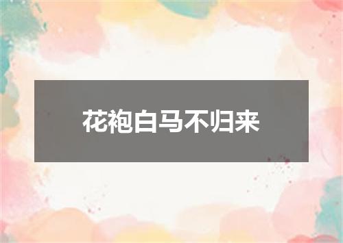 花袍白马不归来