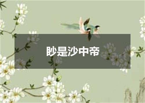 眇是沙中帝