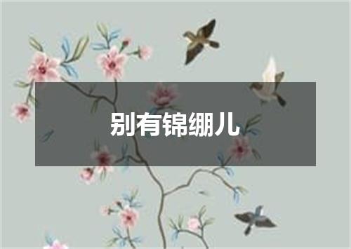 别有锦绷儿
