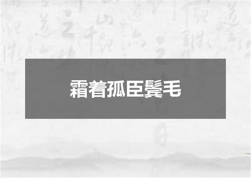 霜着孤臣鬓毛