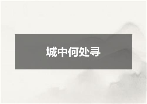 城中何处寻