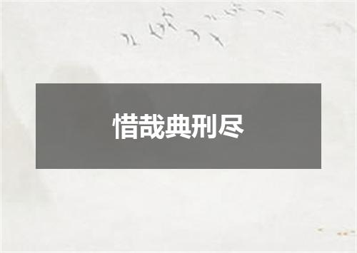 惜哉典刑尽