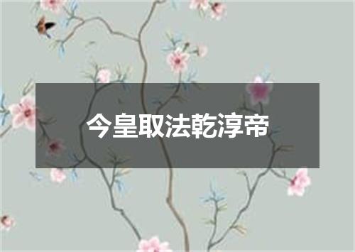 今皇取法乾淳帝