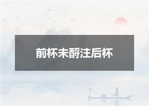 前杯未酹注后杯