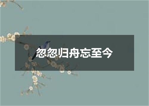 忽忽归舟忘至今