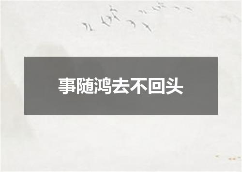 事随鸿去不回头