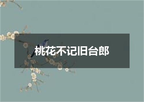 桃花不记旧台郎
