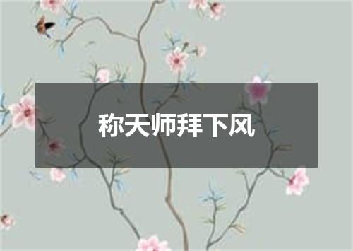 称天师拜下风