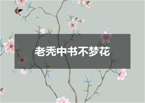 老秃中书不梦花