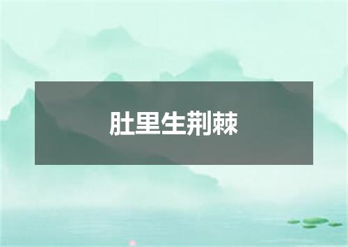 肚里生荆棘