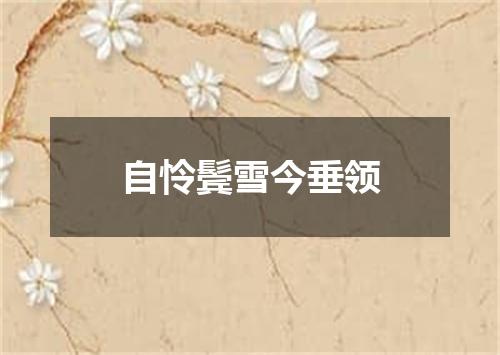 自怜鬓雪今垂领