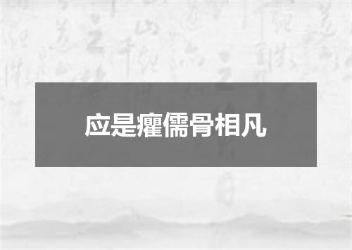 应是癯儒骨相凡